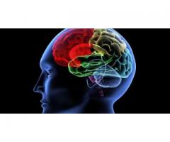 https://healthcounterpro.com/amazin-brain/