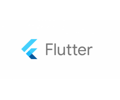 Flutter Development Services India