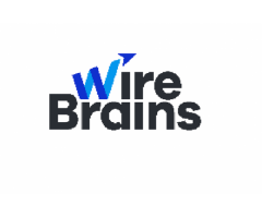 Get The Affordable Services Digital Marketing Company India | WireBrains