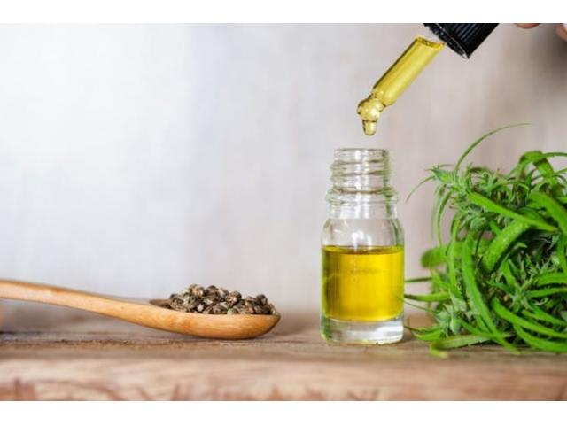 Greg Gutfeld CBD Oil Buy Now Greg Gutfeld CBD Oil Buy Now